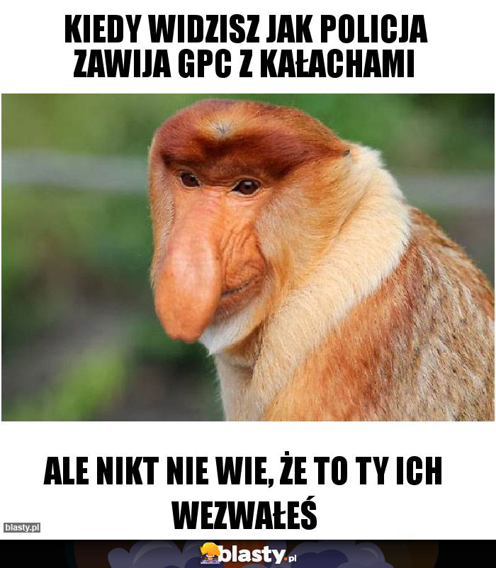 Kiedy widzisz jak policja zawija GPC z kałachami