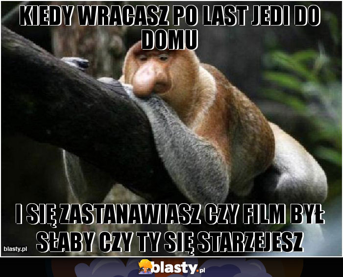 Kiedy wracasz po last jedi do domu Kiedy wracasz po last jedi do domu