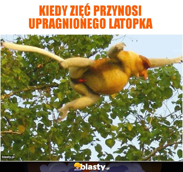 KIedy Zięć przynosi upragnionego latopka KIedy Zięć przynosi upragnionego latopka