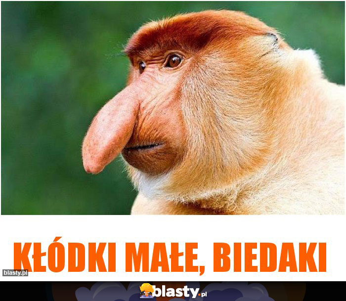 KŁÓDKI MAŁE, BIEDAKI