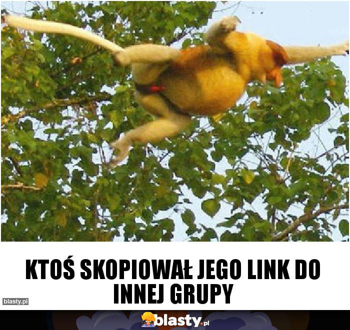 ktoś skopiował jego link do innej grupy