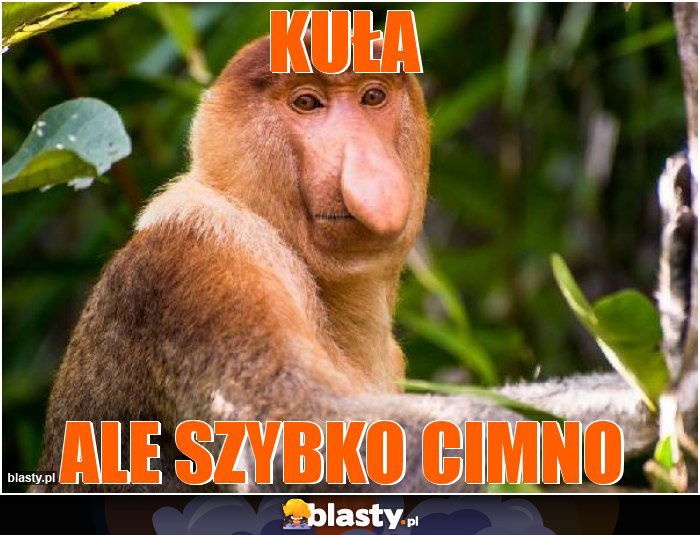 Kuła
