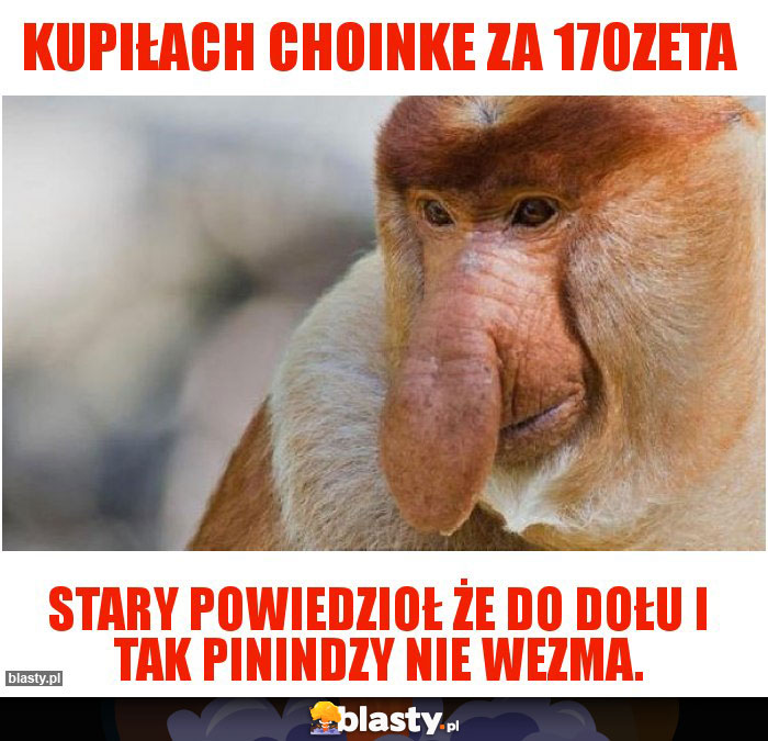 Kupiłach choinke za 170zeta