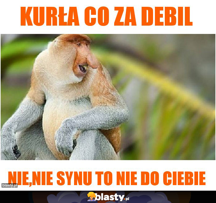 Kurła co za debil
