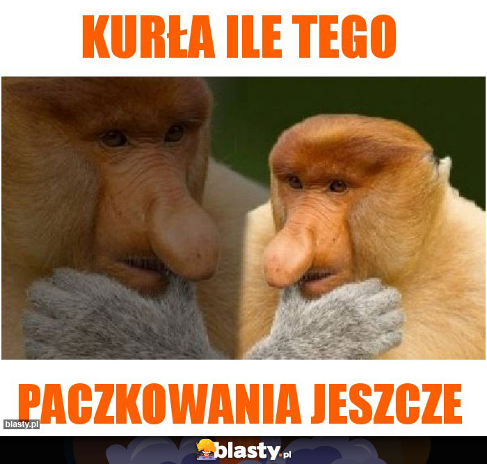 Kurła ile tego