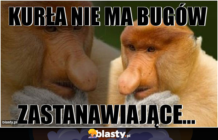 KURŁA NIE MA BUGÓW