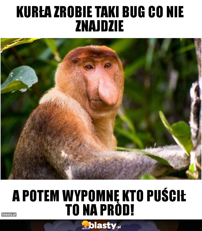 KURŁA ZROBIE TAKI BUG CO NIE ZNAJDZIE