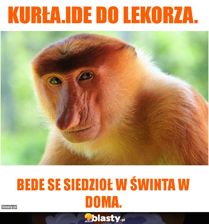Kurła.ide do lekorza.