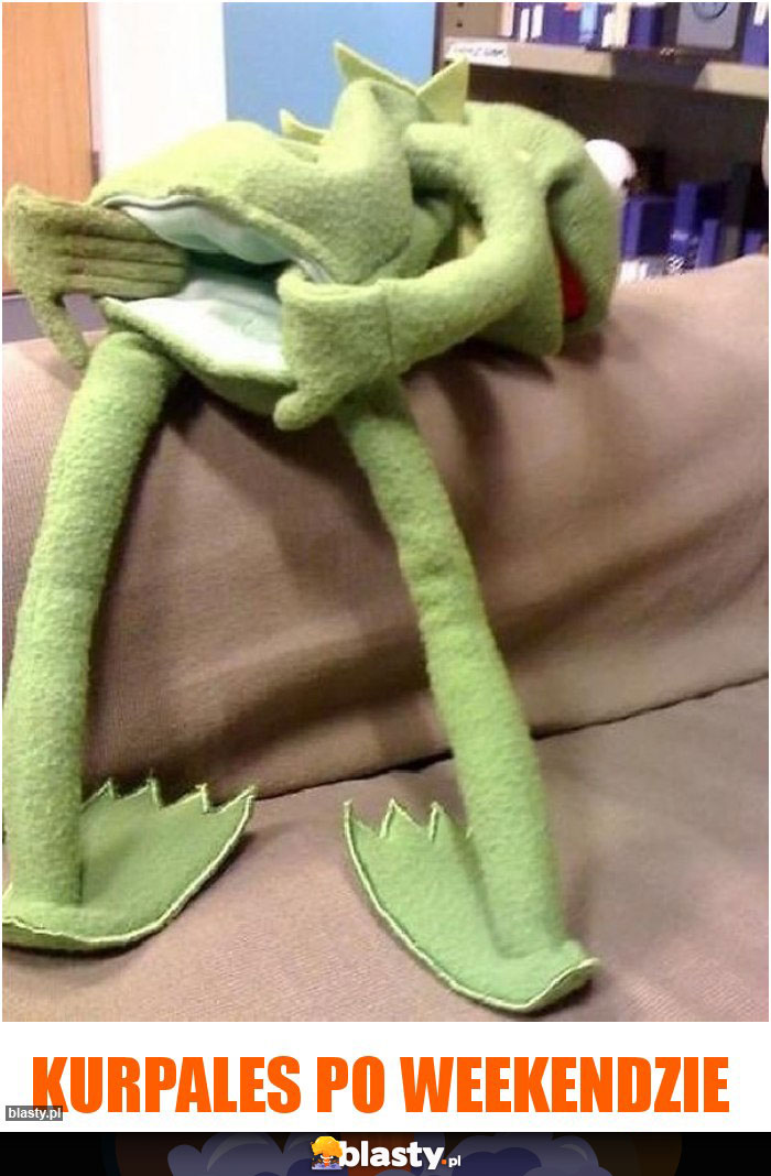 KURPALES PO WEEKENDZIE