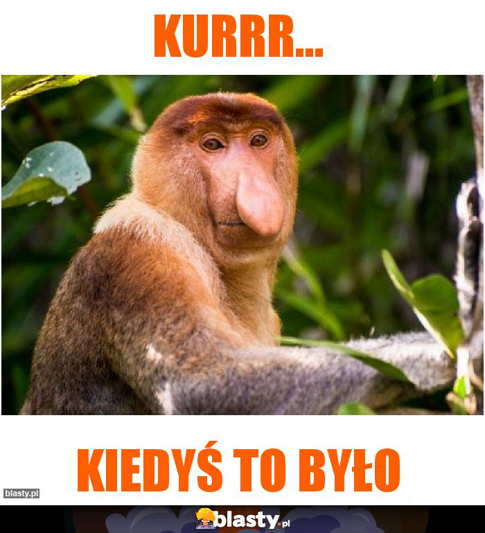 Kurrr...