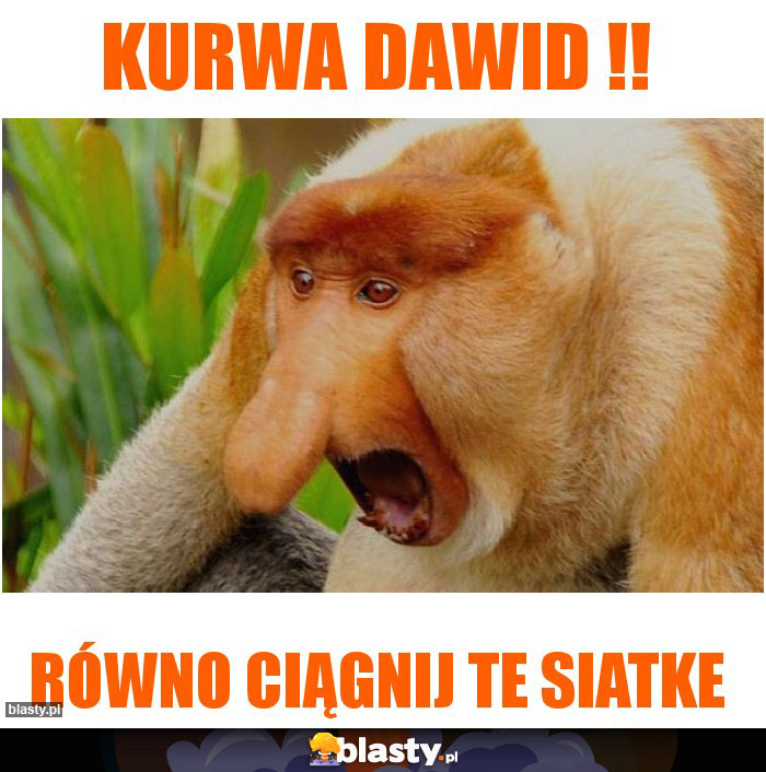 Kurwa Dawid !!