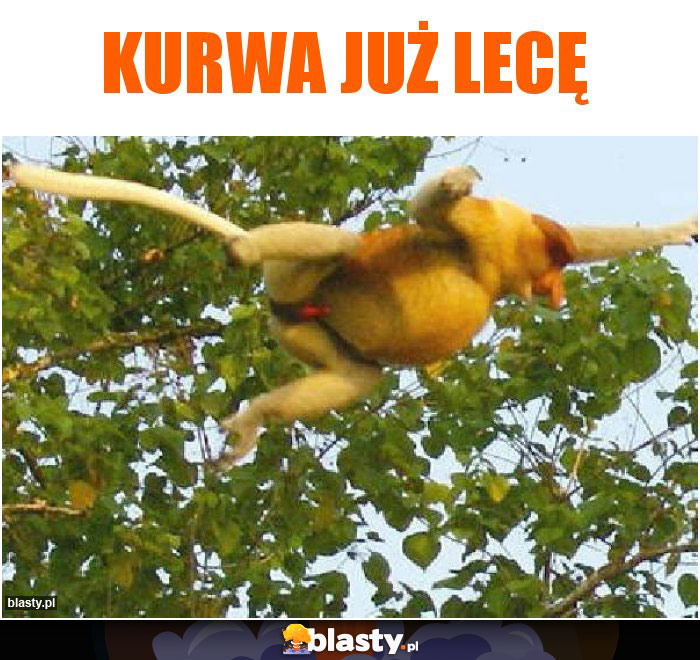 Kurwa już lecę