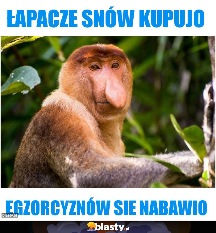 łapacze snów kupujo