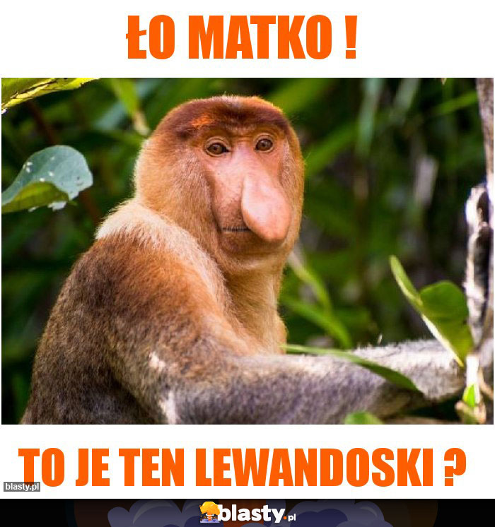 Ło matko !
