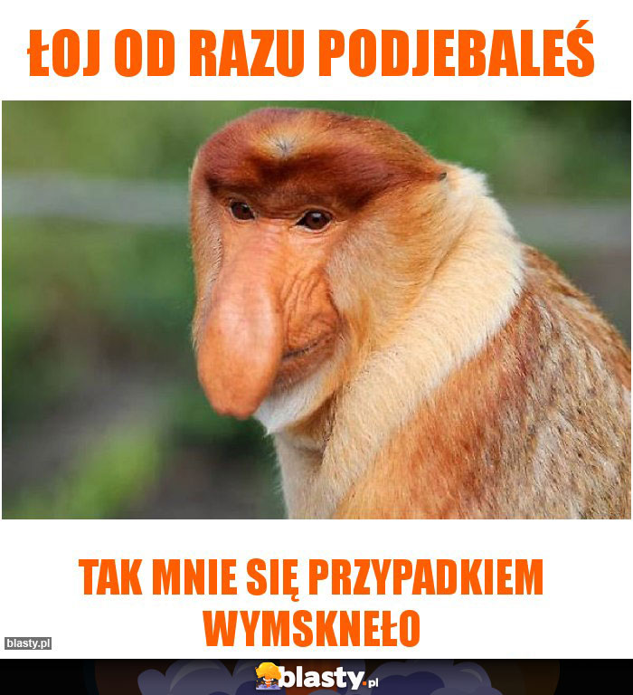 Łoj od razu podjebaleś