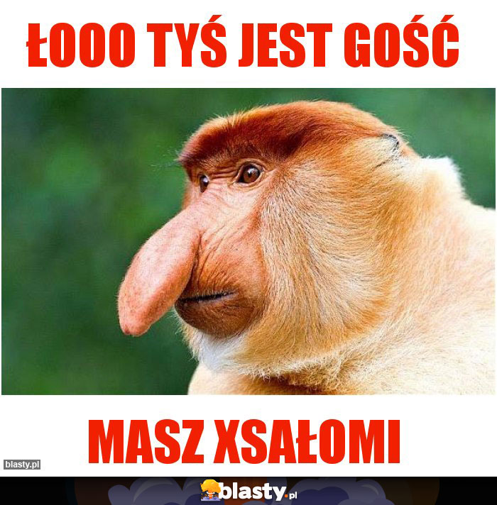 ŁOOO TYŚ JEST GOŚć