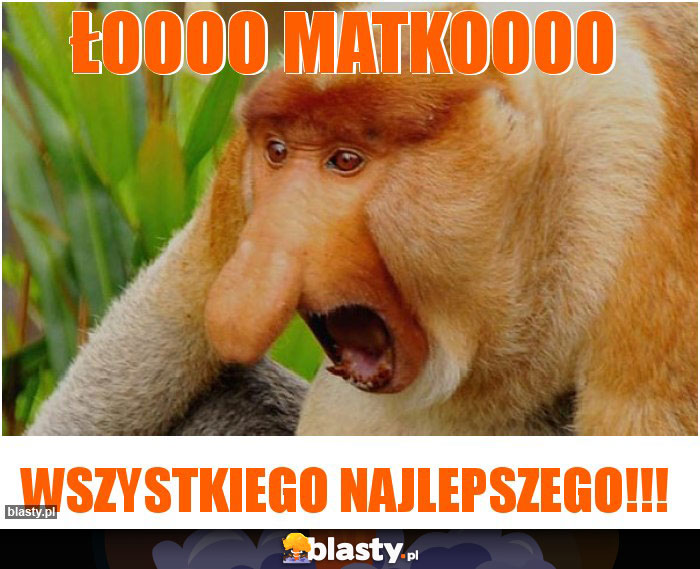 łoooo matkoooo