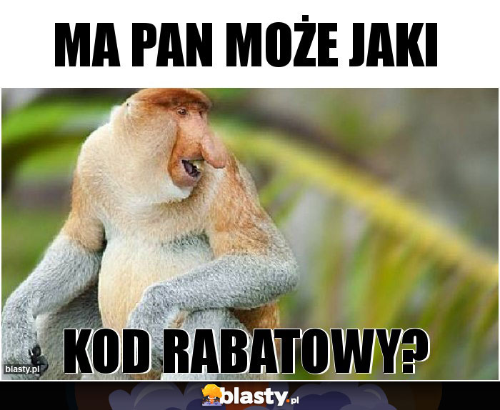 MA PAN MOŻE JAKI MA PAN MOŻE JAKI