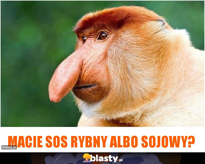 Macie sos rybny albo sojowy?