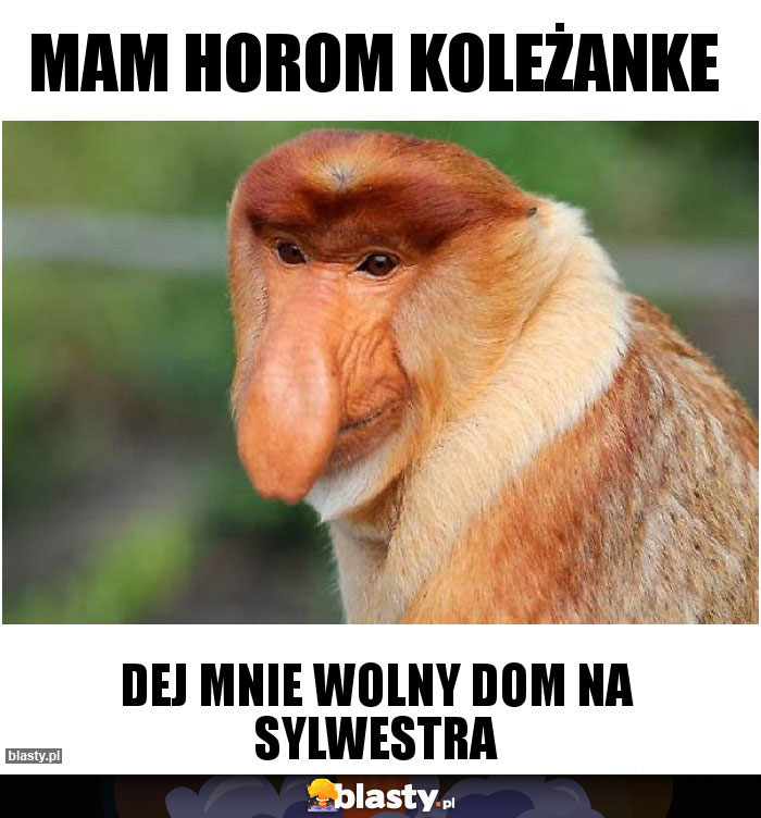 Mam horom koleżanke