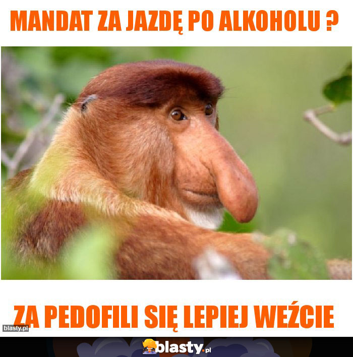 Mandat za jazdę po alkoholu ?