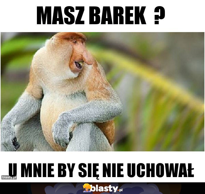 Masz barek  ?