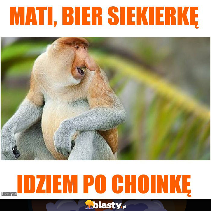 Mati, bier siekierkę Mati, bier siekierkę