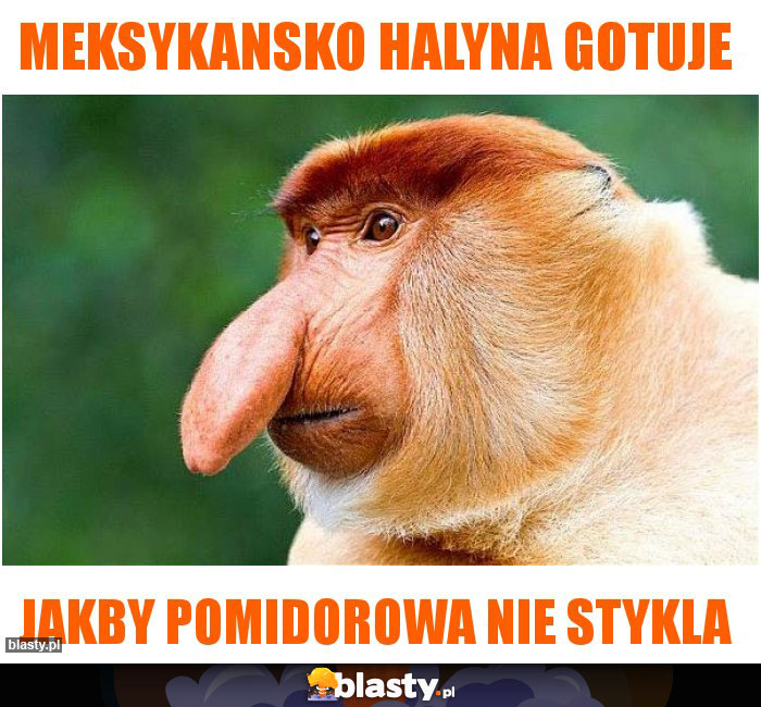 Meksykansko halyna gotuje