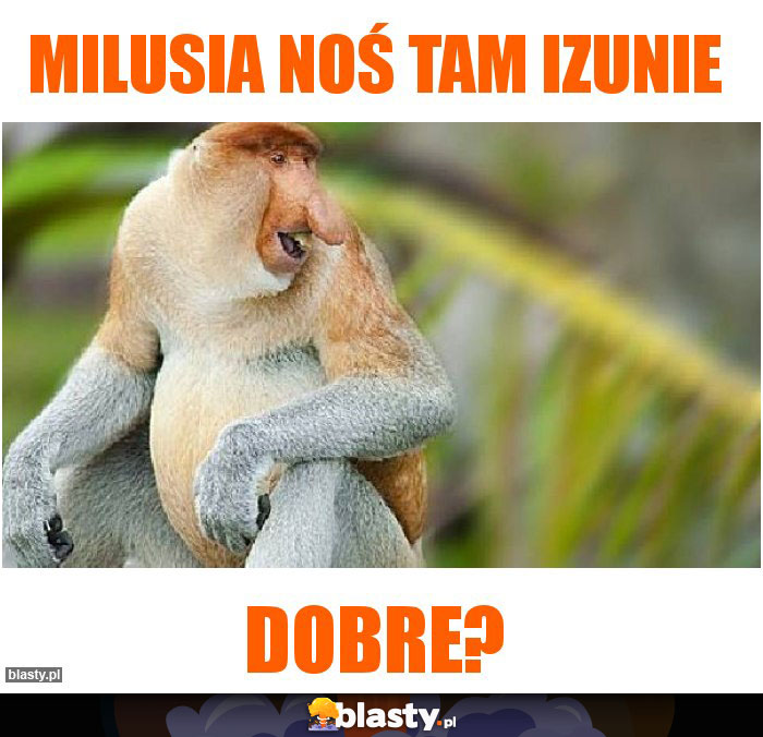MILUSIA NOŚ TAM izunie