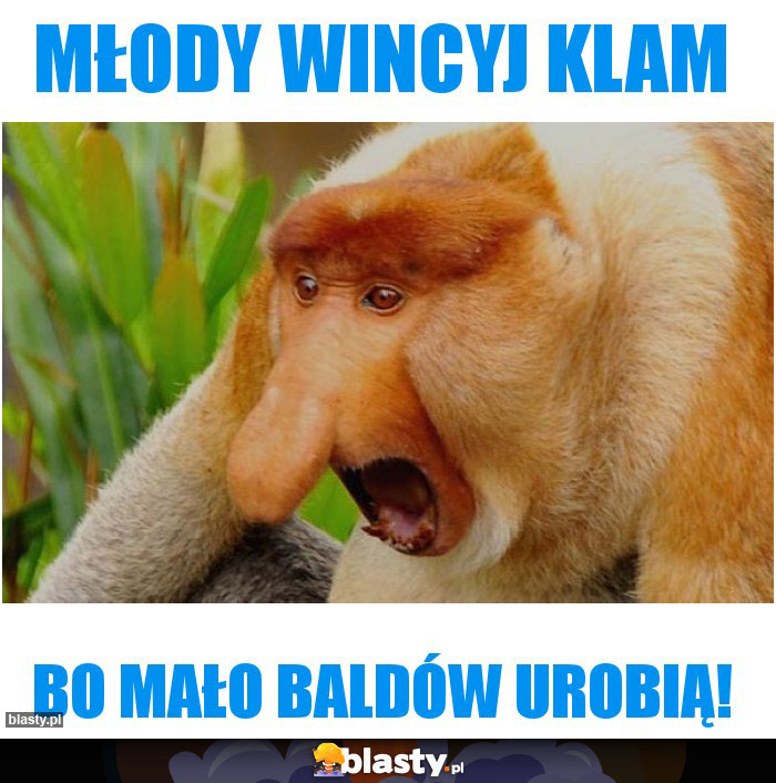 MŁODY WINCYJ KLAM