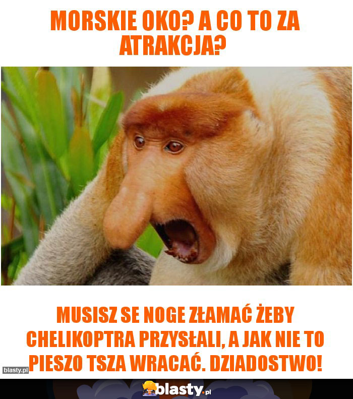 Morskie Oko? A co to za atrakcja? Morskie Oko? A co to za atrakcja?