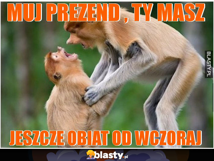 muj prezend , ty masz