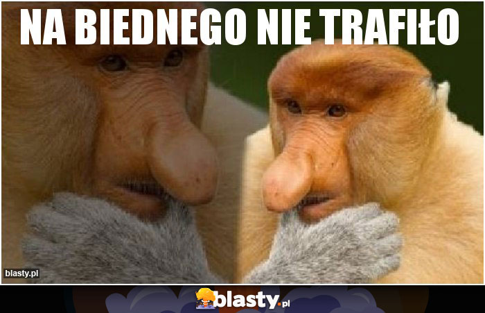 Na biednego nie trafiło Na biednego nie trafiło