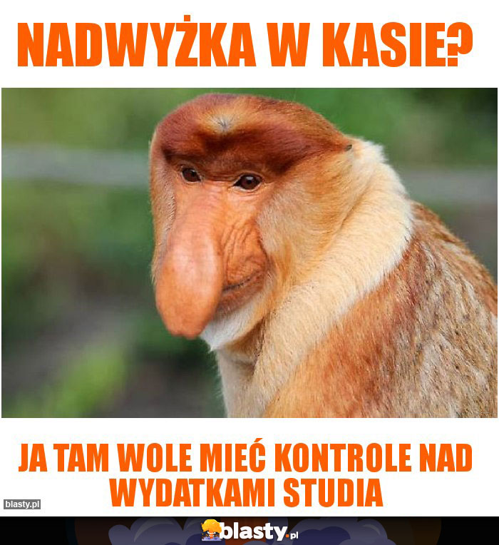 Nadwyżka w kasie? Nadwyżka w kasie?