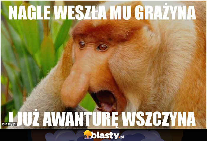 NAGLE WESZŁA MU GRAŻYNA