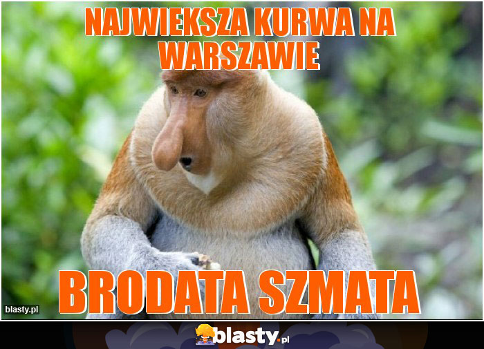 Najwieksza kurwa na Warszawie