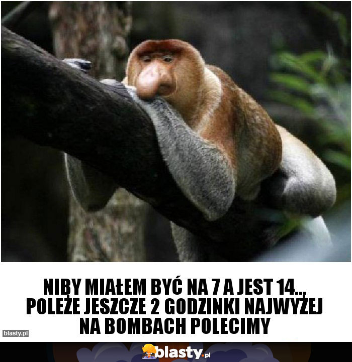 Niby miałem być na 7 a jest 14... Poleże jeszcze 2 godzinki najwyżej na bombach polecimy