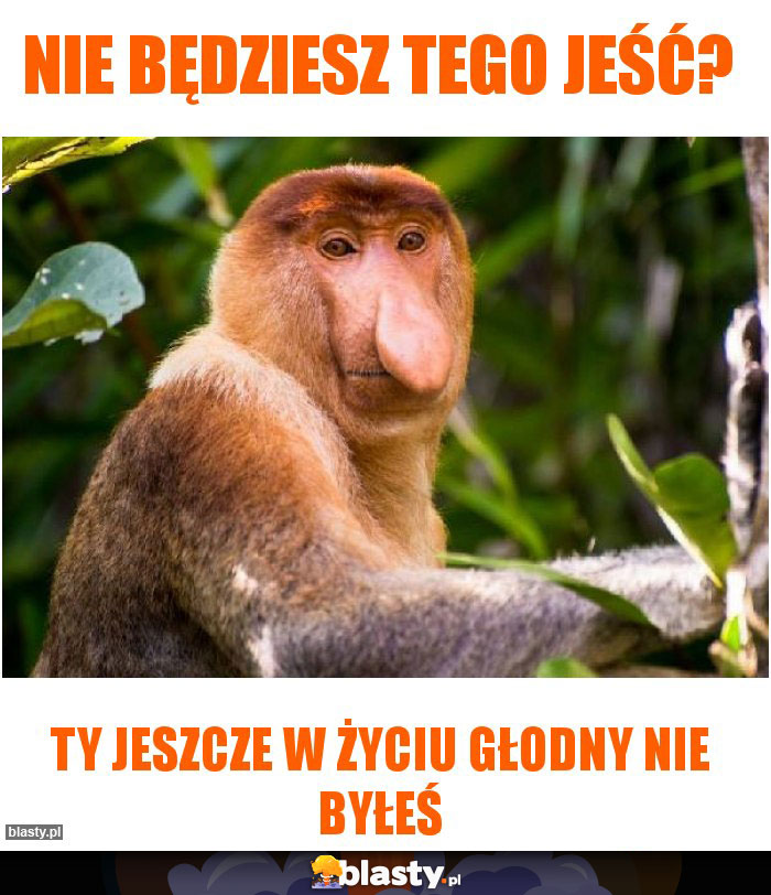 nie będziesz tego jeść?