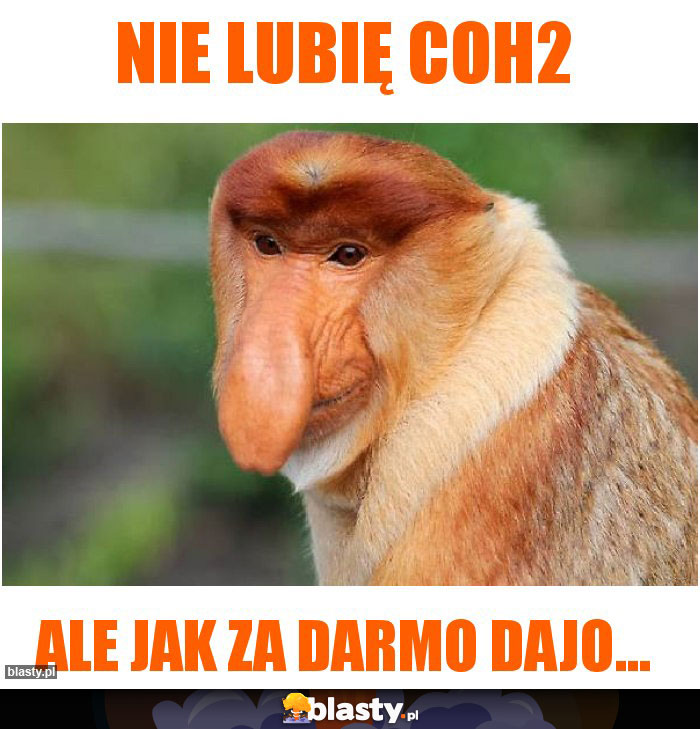 Nie lubię CoH2