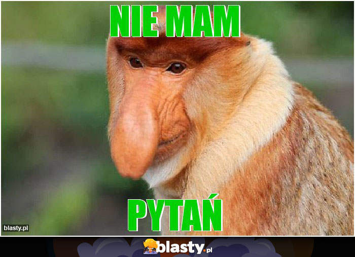 Nie mam