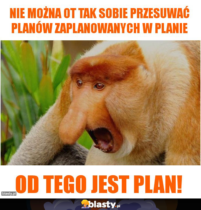 nie można ot tak sobie przesuwać planów zaplanowanych w planie