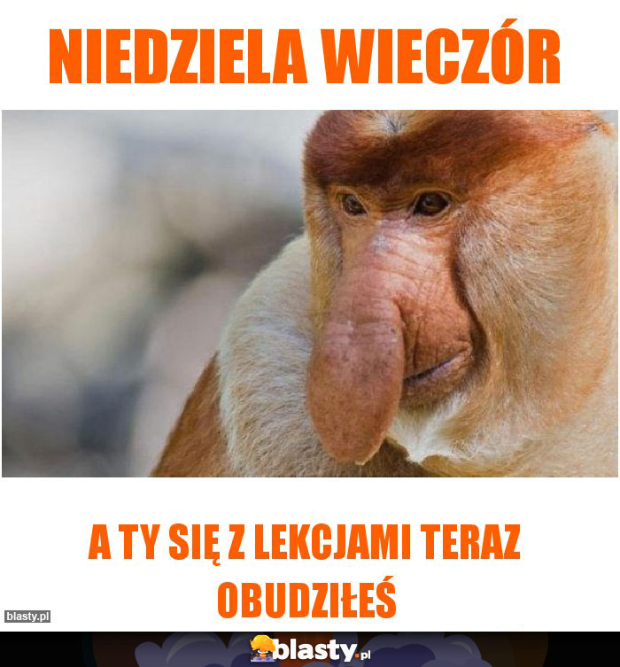 Niedziela wieczór