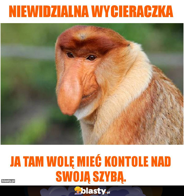 Niewidzialna wycieraczka