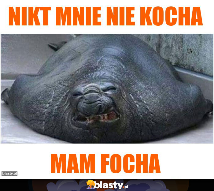 Nikt mnie nie kocha