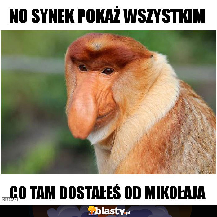 NO SYNEK POKAŻ WSZYSTKIM NO SYNEK POKAŻ WSZYSTKIM