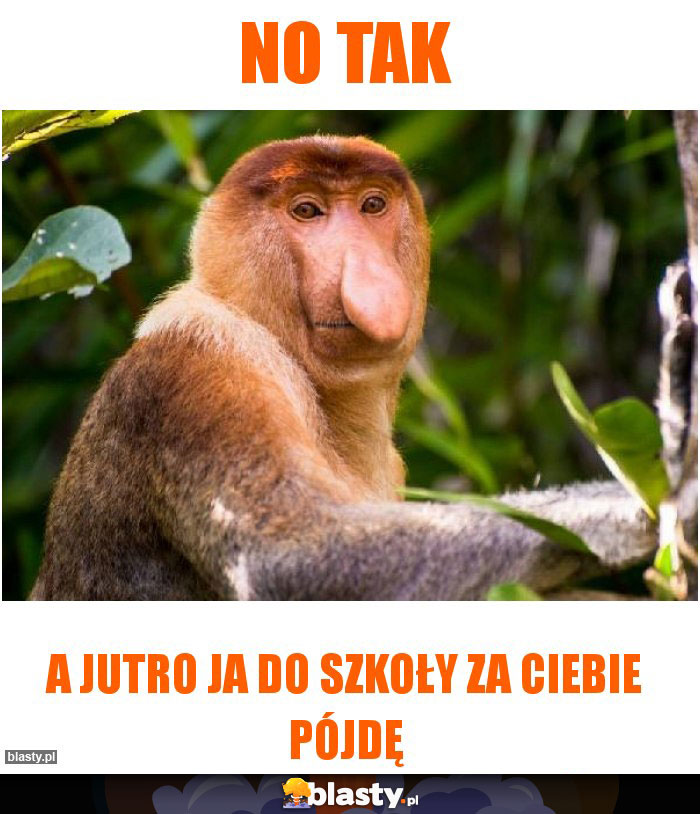No tak