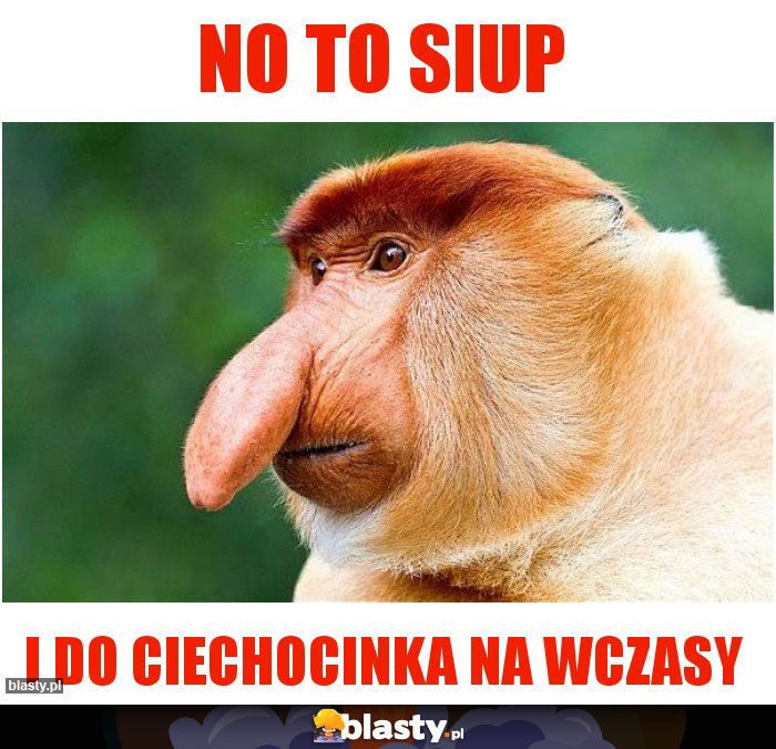 NO TO SIUP