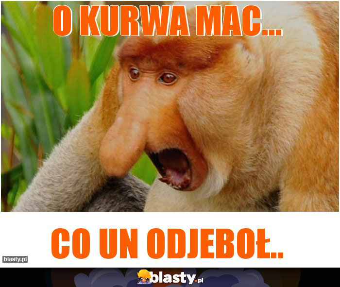 O kurwa mac...