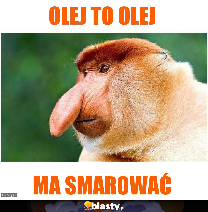 OLEJ TO OLEJ