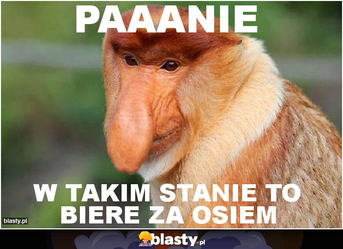 paaanie